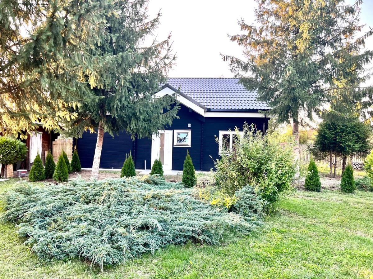 Vila Scandinavia Sîngeorgiu de Mureş Екстериор снимка